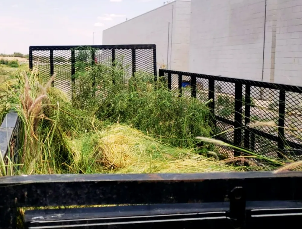 Conservación de áreas verdes — galería de SERVIMAX